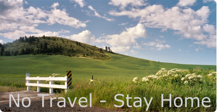No Travel - Stay Home

